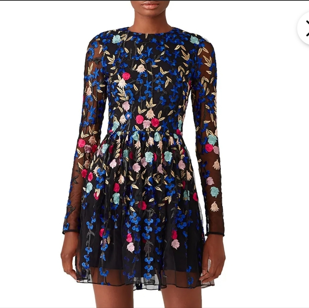 Badgley Mischka Black Long-Sleeve Embroidered Floral Mini Dress